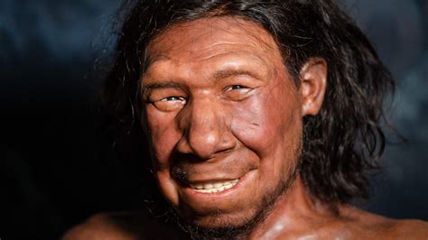 neanderthal are fake